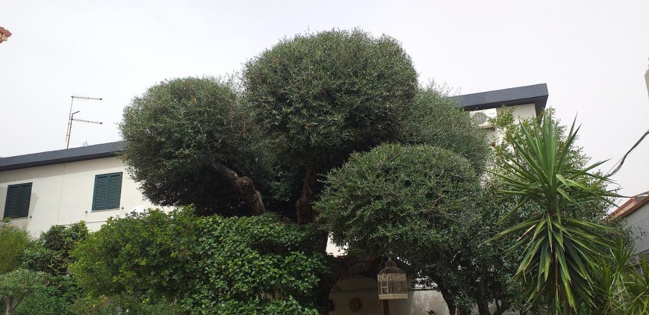 Bed and Breakfast Il Vecchio Ginepro Capoterra Zewnętrze zdjęcie